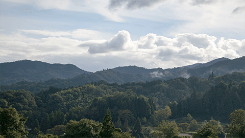 横田ヴィンヤードから望む船通山