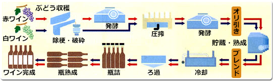 [画像]ワインの製造工程